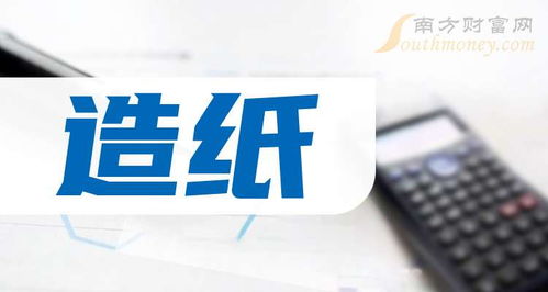 2025年中小板造纸及互联网信息服务上市公司概览